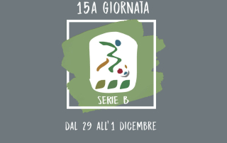 calcio-serie-b-15a-giornata-2024